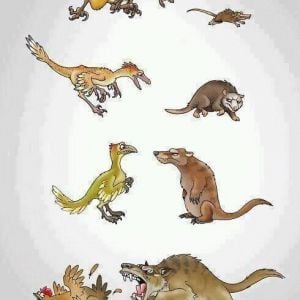 Evolution can be a *****..jpg