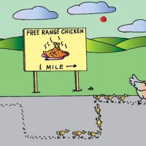 CREATOR: gd-jpeg v1.0 (using IJG JPEG v62), default quality