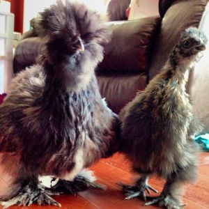 Shelly and her baby Pepper