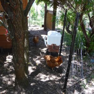 New water system