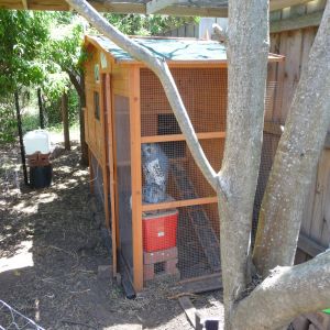 Chicken House