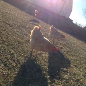 A great day on the farm!!