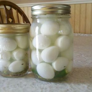 pickled quail eggs