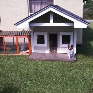 The new Silkie house's and middle attached run. Our puppy likes the porch!