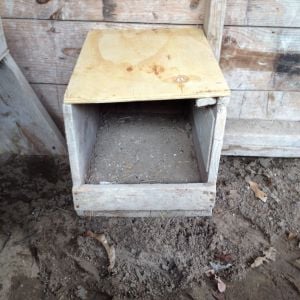 This is one of four nesting boxes in the coop. It may be obvious, but I replaced the top of the box while cleaning out the coop.