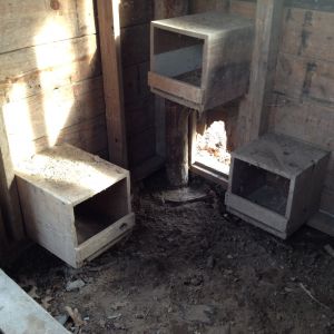 Three other nesting boxes. The chicken door at the bottom of the pic needs to be replaced. I have purchased materials to make a new door for both chickens and Balloonjuice.