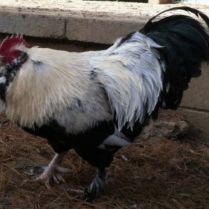 Another one of my dads