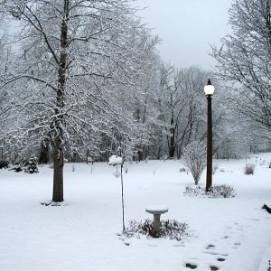 This is a color shot.  It was so overcast our light came on.  Winter 2001