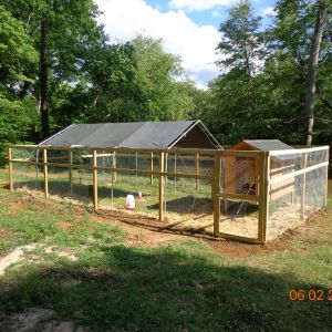 Another of the chicken pen.