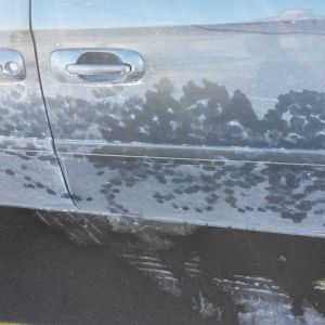 My kissy lips on the van.Seems the goats left me a pair....