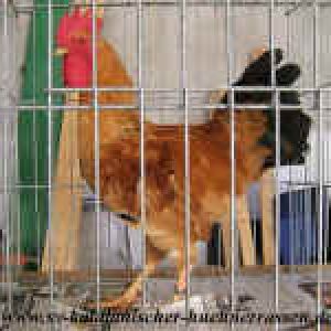 LEAD Technologies Inc. V1.01