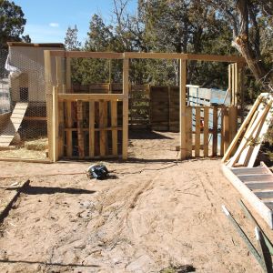 2/10/14 I moved the doorway on the coop I'm building from the left to the center.