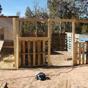 After moving the doorway to the center of the future wall I also enlarged the coop to 12'x12'.  2/10/14