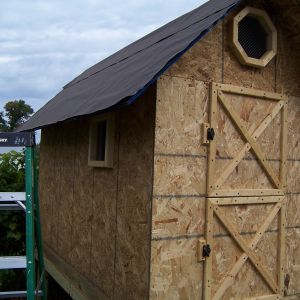Left side of coop.