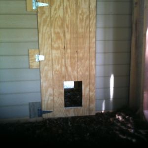 Door between coop and run. It says wide open in warm weather 24/7. Since this winter's cold, I shut it every night and days that are very cold, cloudy, windy. The "pop door" stays open, unless I'm trying to keep them in one area--to clean out the coop, for example.