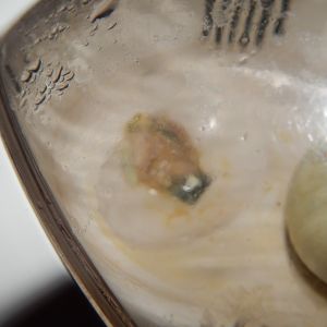 Is this similar to afterbirth?