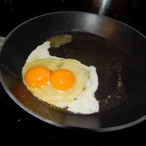 our first double yolk