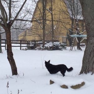 Our farm in December 2013