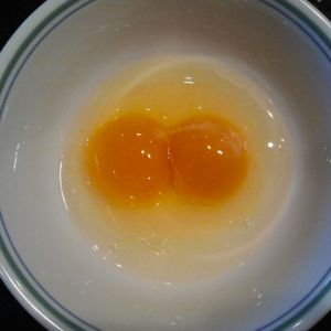 First double yolk