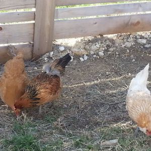 this was their first day home