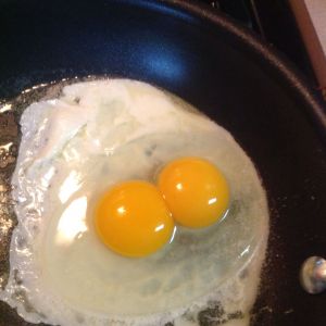 Loretta laid this double yolker, she's laid 3.