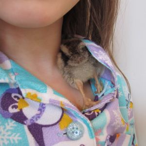 This one loves to cuddle.