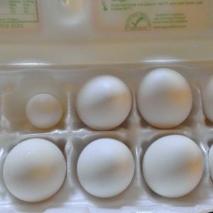 Tiny egg....had full yolk and all inside.