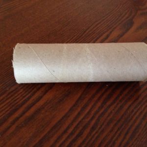 Empty paper towel roll cut in half. I