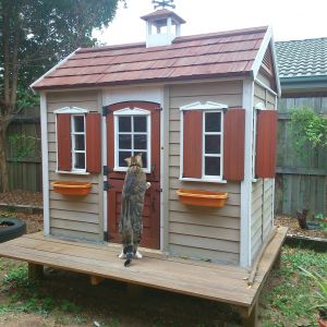 This is the play house we are converting.  We have glued and sealed the plexiglass sheets we cut to fit the plastic window frames.  The whole structure will be inside the run.  Tiger can't believe his eyes!  He was closely observed while he 'checked' the security of the hen house.