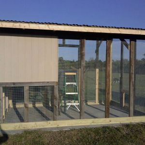 Siding on the coop area*