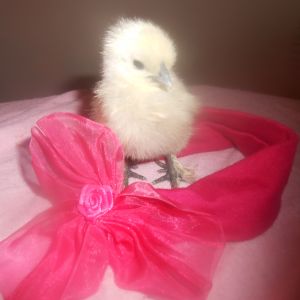 Photo shoot!