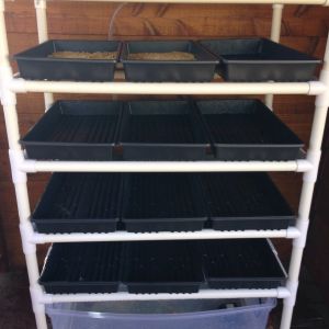 I placed a batch of soaked (12 hours)  whole barley yesterday and then another batch today. We placed the Fodder Station on our covered deck.