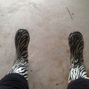 I like my water boots even with chicken poop on them. Lol