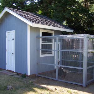 My Coop/ chicken house I built two years ago.