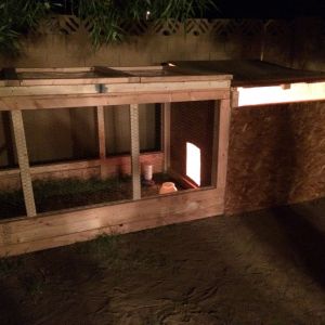 New coop and run 80% complete
