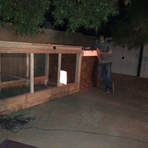 Second pic of my Brother Sheth posing with the new coop and run.