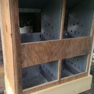 My Dad gave me these galvanized nesting boxes that we mounted onto the back of the coop.