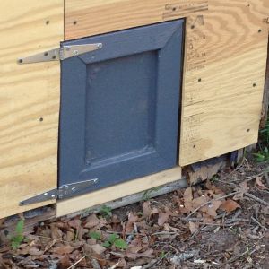 Here is another repair. The chicken door was rotted, as was the frame and much of the bottom 24" of the siding. It was still structurally good, but lacks a certain "curb appeal." The door will have a bolt on the outside and it will open directly into their run.