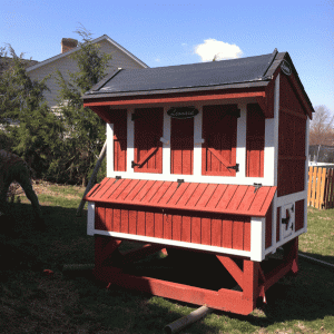 Our Lenard Buildings 4x6 Deluxe Coop