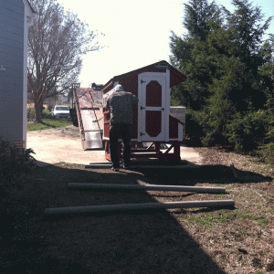 Rolling the coop to site location