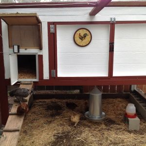 I installed the pullet shut automatic coop door yesterday and it works great! I wasn't thinking of buying the coop door before I started building the coop so now the doors motor is blocking my window from being shut. Not sure what I'm going to do to fix it.... Any suggestions?
