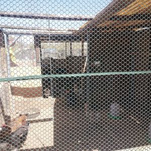 *
side view of my coop (kitchen area)