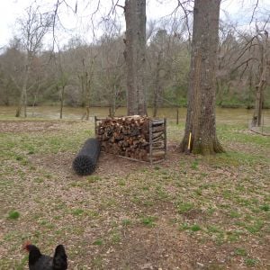 Our woodpile at the end of March. As you can tell from my Feb .photo, we had a pretty cold winter this year.
