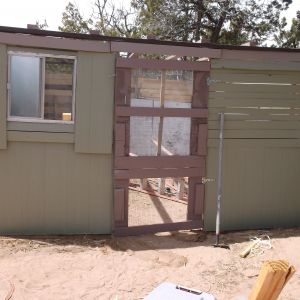walls painted soft sage green. OOPS dark green and white paint mixed together.