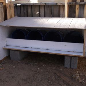 nesting boxes.