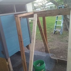 We put siding on the back to create a little sheltered corner underneath for the chickens.