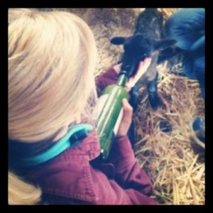 Some more babies needing our help.