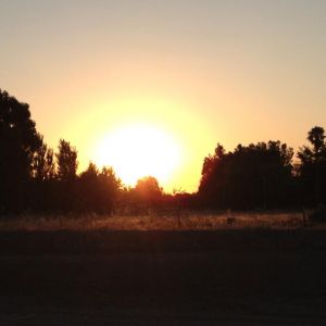 Nothing like a country sunrise!