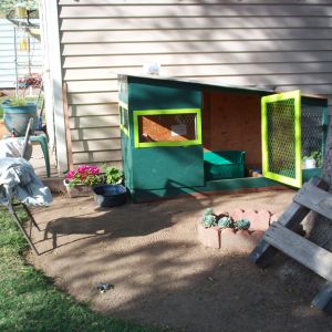 Star's New Chicken Condo.