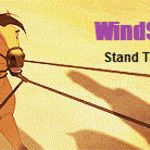 WindStep *Stand Taller*